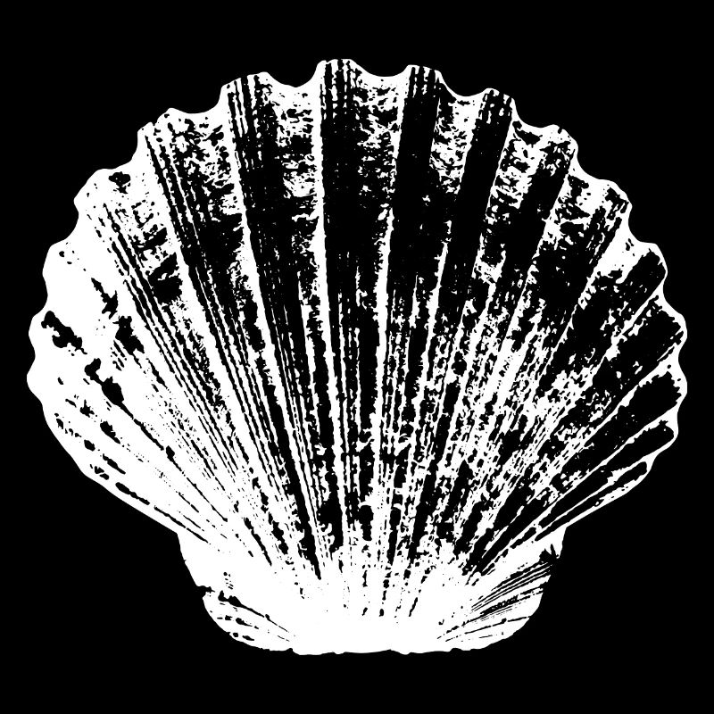 Coquille Saint-Jacques