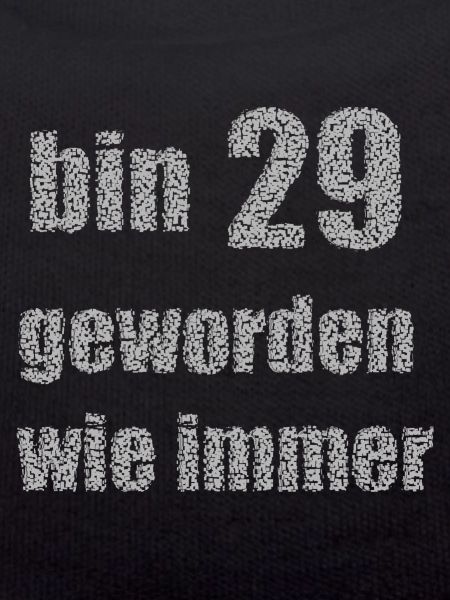 bin 29