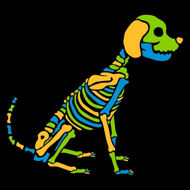 Chien squelette coloré Halloween