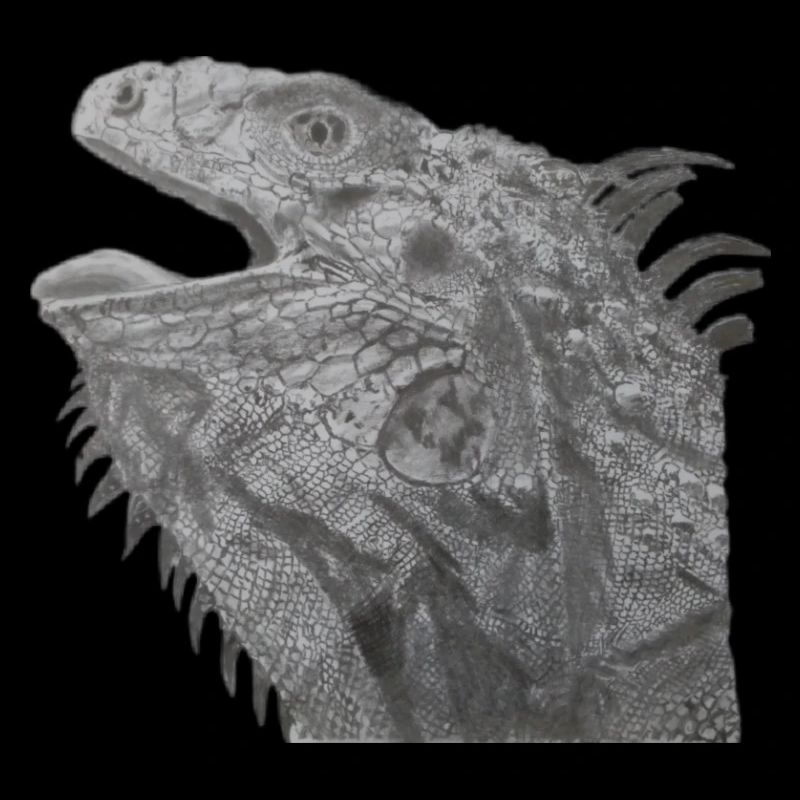Dragon barbu