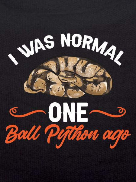 Ball Python Schlange Königspython