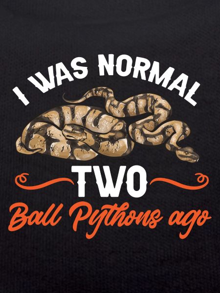 Ball Python Schlange Königspython