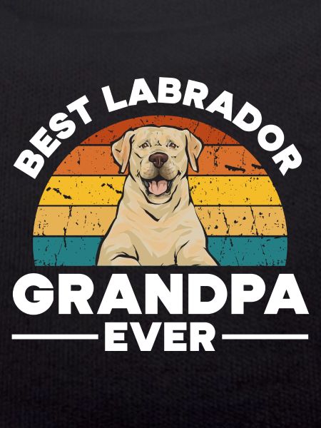 Yellow Labrador Retriever