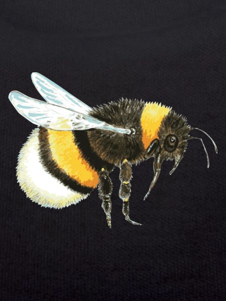 Hummel