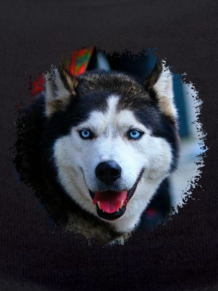 Husky