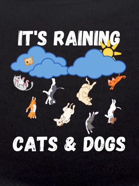 Raining Cats and Dogs