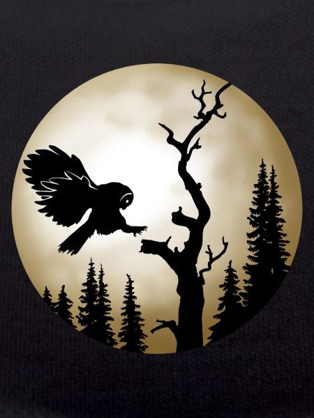 Chouette hulotte devant la lune