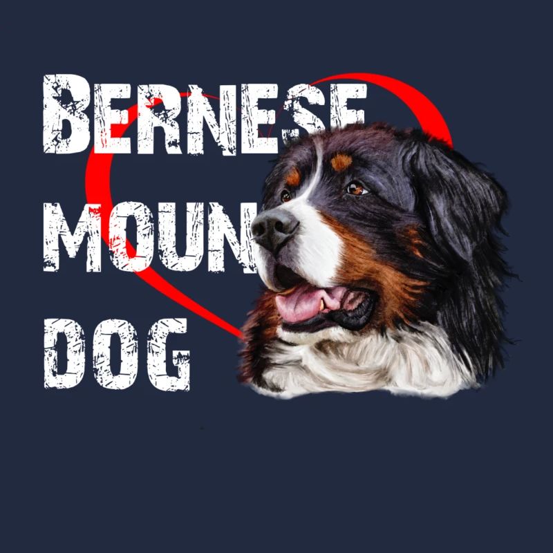 Bouvier bernois
