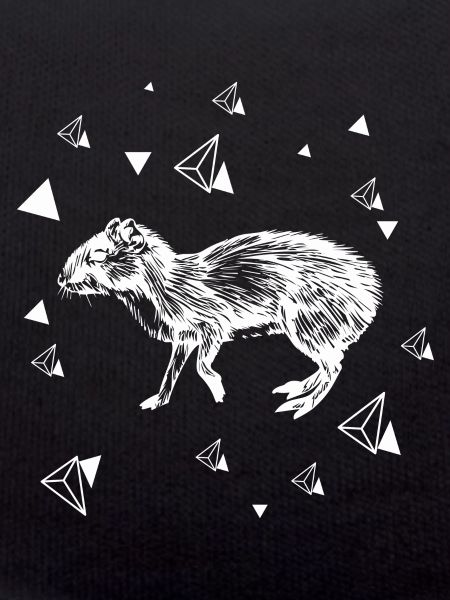 Rat - rongeur