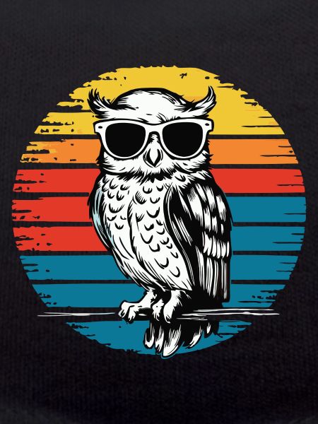 Nachteule Eule Eulen Vogel