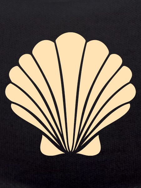 coquillage