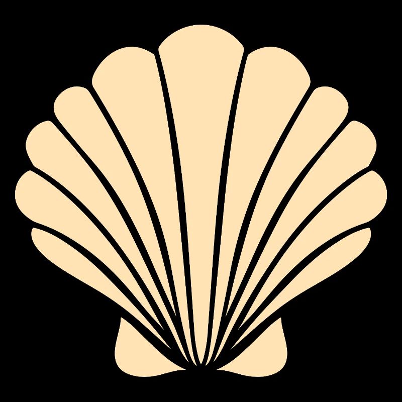 coquillage