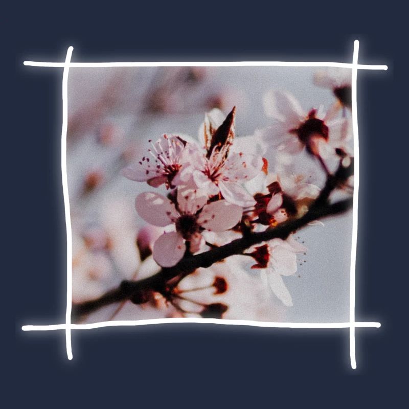 Cherry Blossoms & Cherry Tree