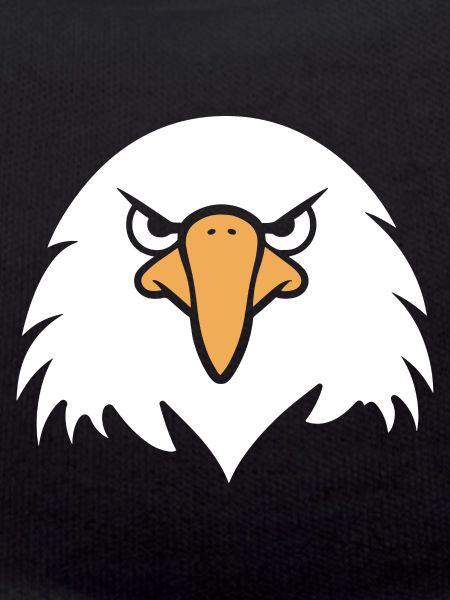 Eagle Bird