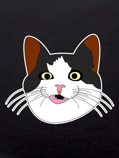 Chat tête de chat