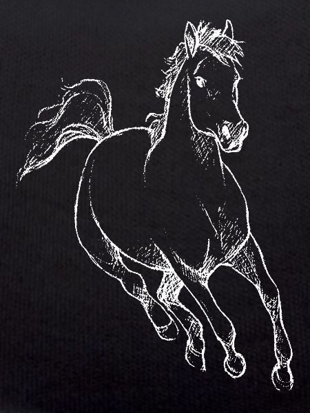 Pferd Pferdchen Reiten Hobby Geschenkidee