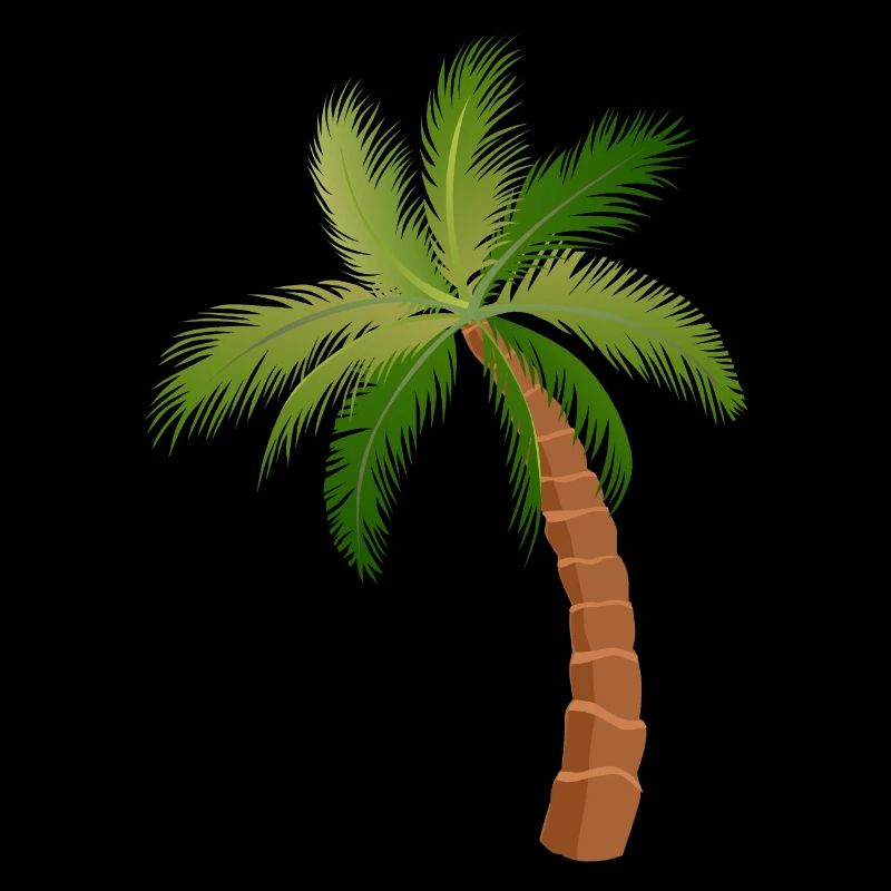 palm tree palm trees
