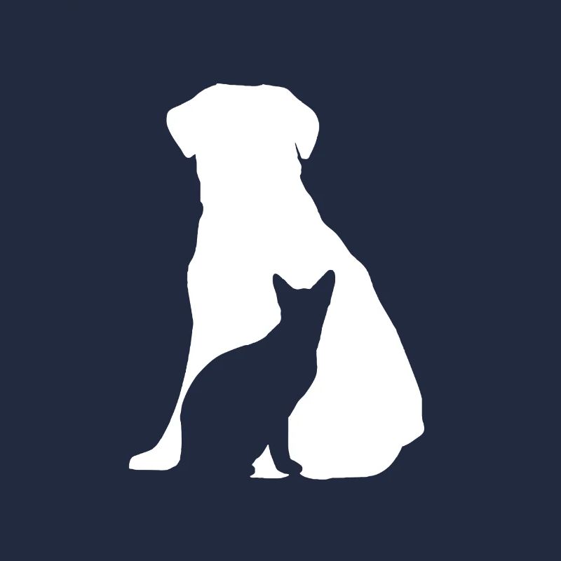dog and cat