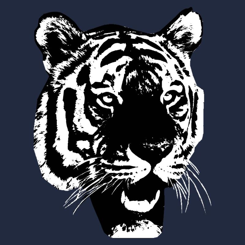 Un visage de tigre comme symbole de puissance et de force