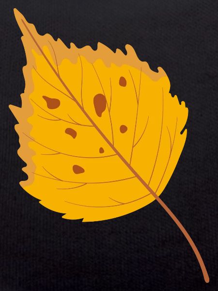 Birch leaf