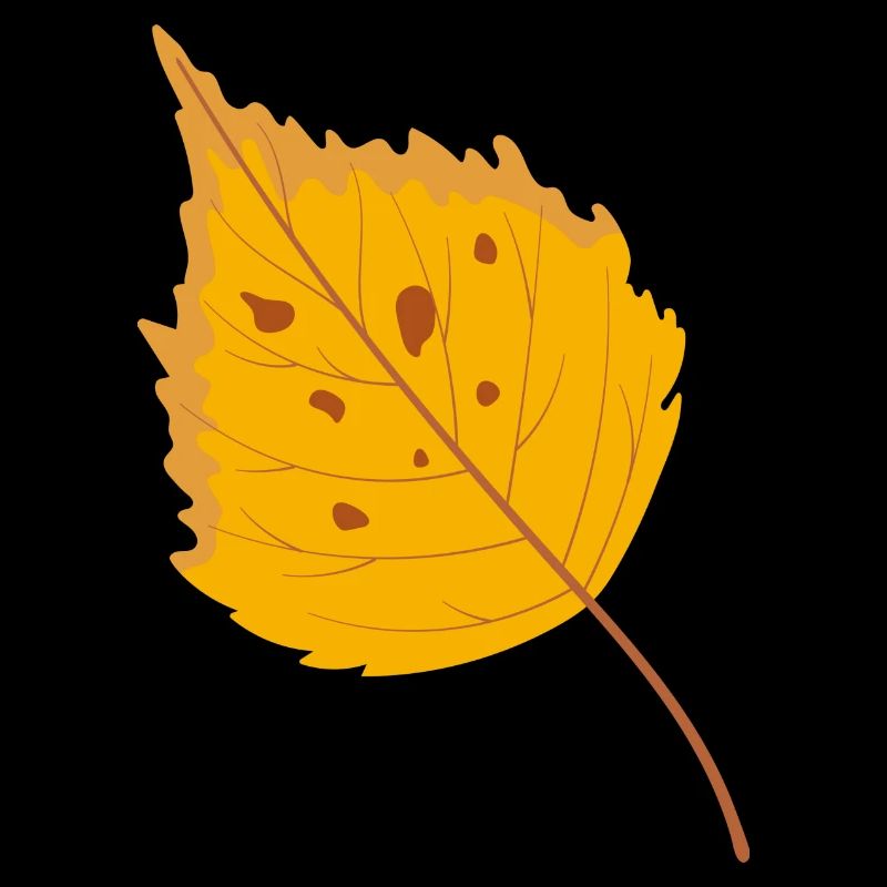 Birch leaf