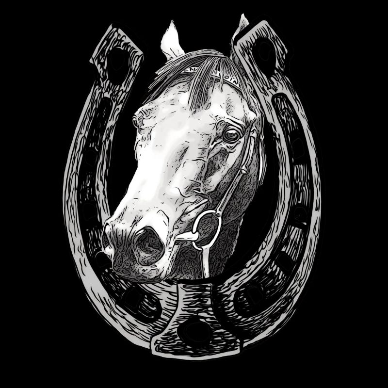 Pferd schaut durch ein Hufeisen