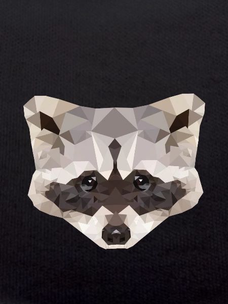 Raccoon polygon