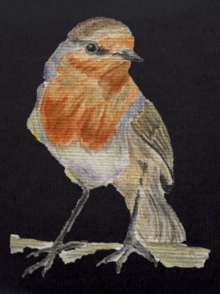 robin
