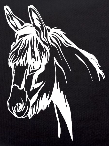 Donkey Esel