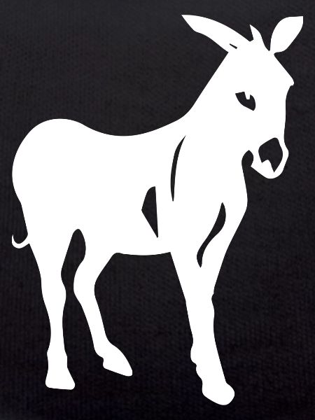 Donkey Esel