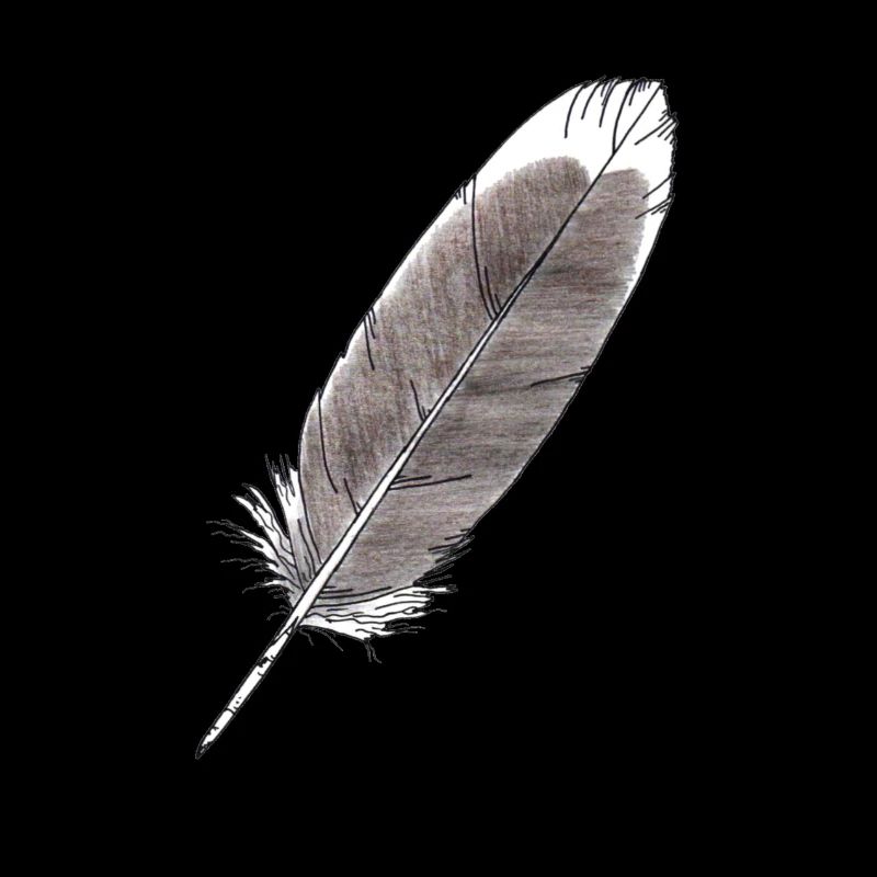 Feder Grau Handgezeichnet (Graugans)