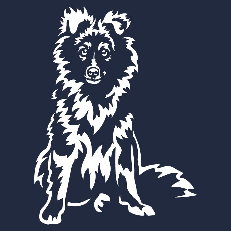Sheltie « Édition Noire »
