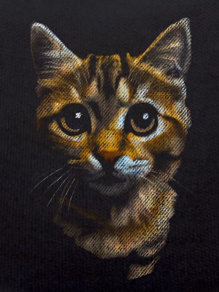 süße Katze getigert getiegert