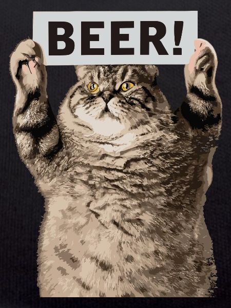 Bier Katze