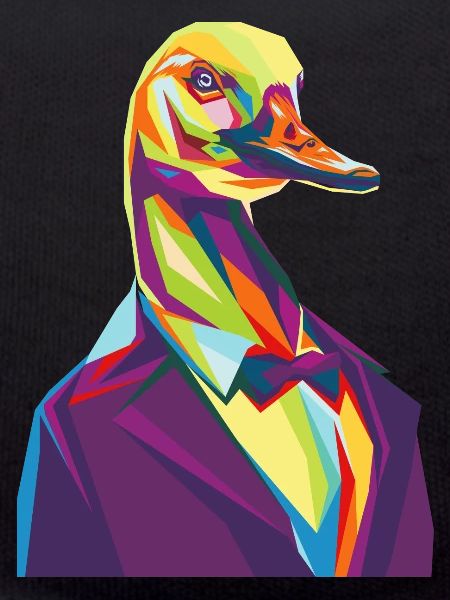 Mr duck