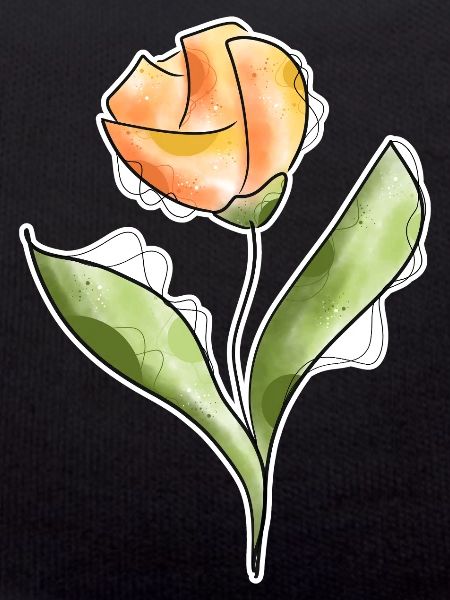 Tulpe