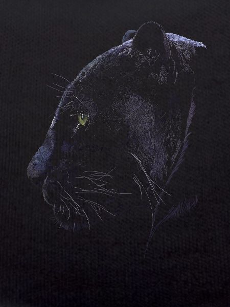 Panther