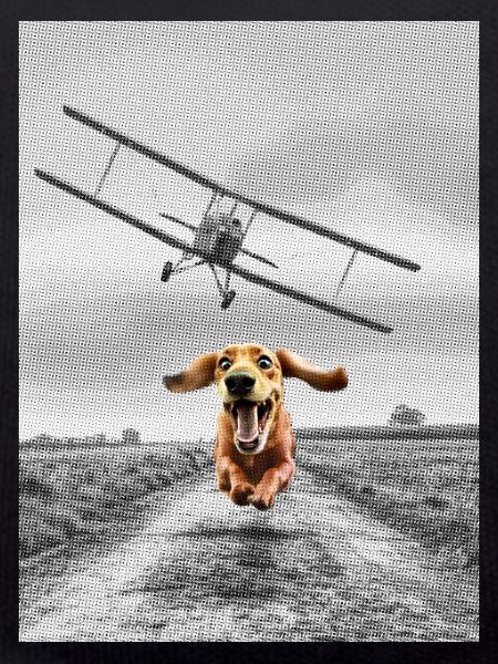 North by northwest