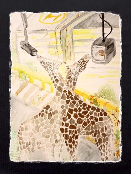 Giraffe im Neon-Transit