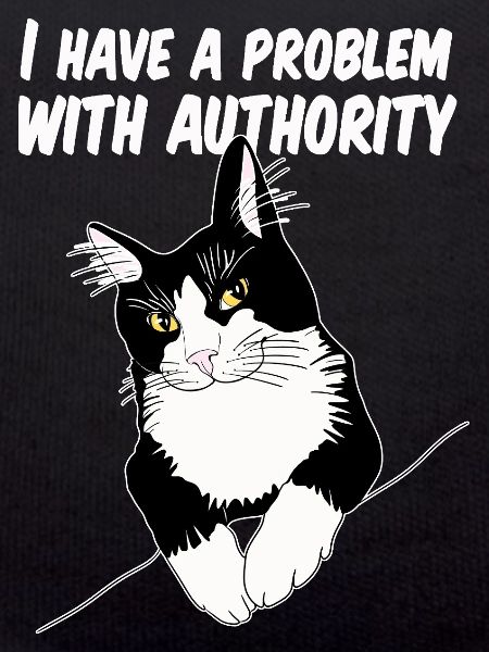 Cat Defies Authority