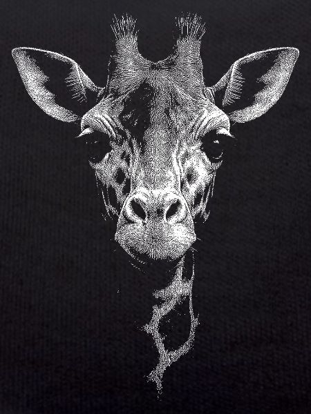 Girafe