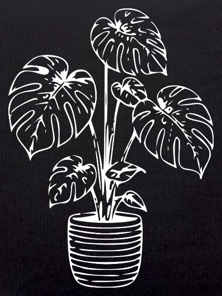 Monstera line art on black