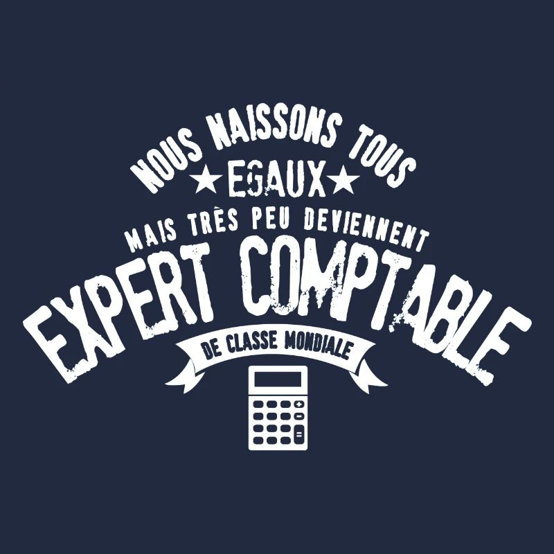 Expert Comptable