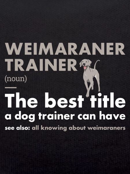 Weimaraner Trainer Definiton
