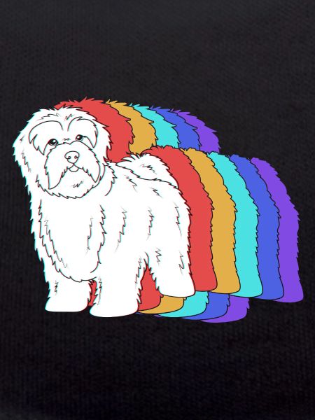 Havanese