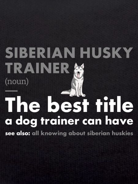 Siberian Husky Trainer Definiton