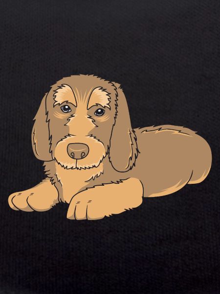 Dachshund wire-haired dachshund