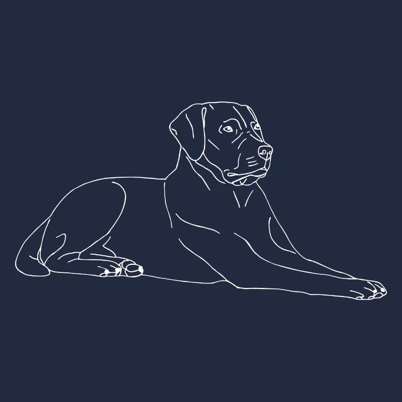 Labrador liegend