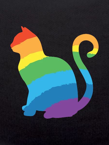 rainbow cat