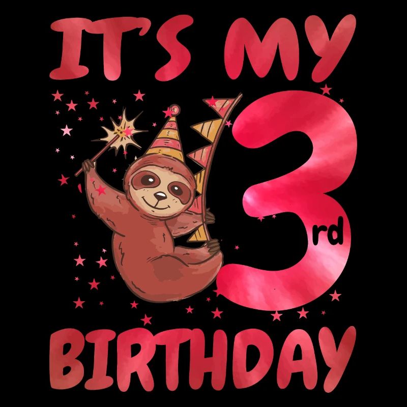 3rd Birthday Cute Sloth Party Hut Themed Birthday